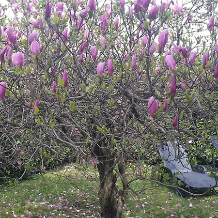 Iris Winter Escape Three Bedrooms With Private Garden 别墅 *